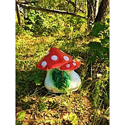 Купить Мухомор двойной