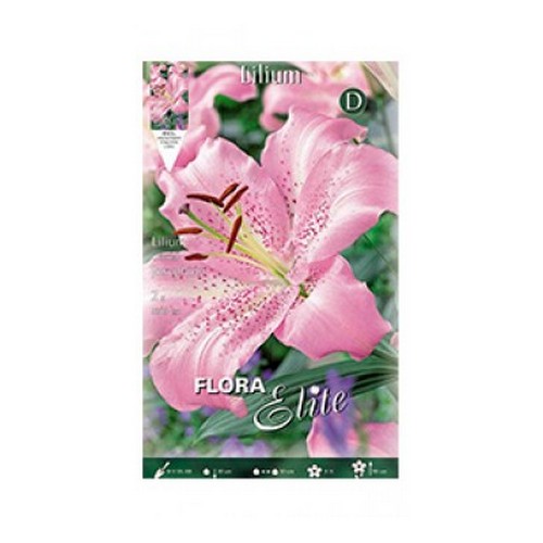 Купить Лилия oriental Josephine