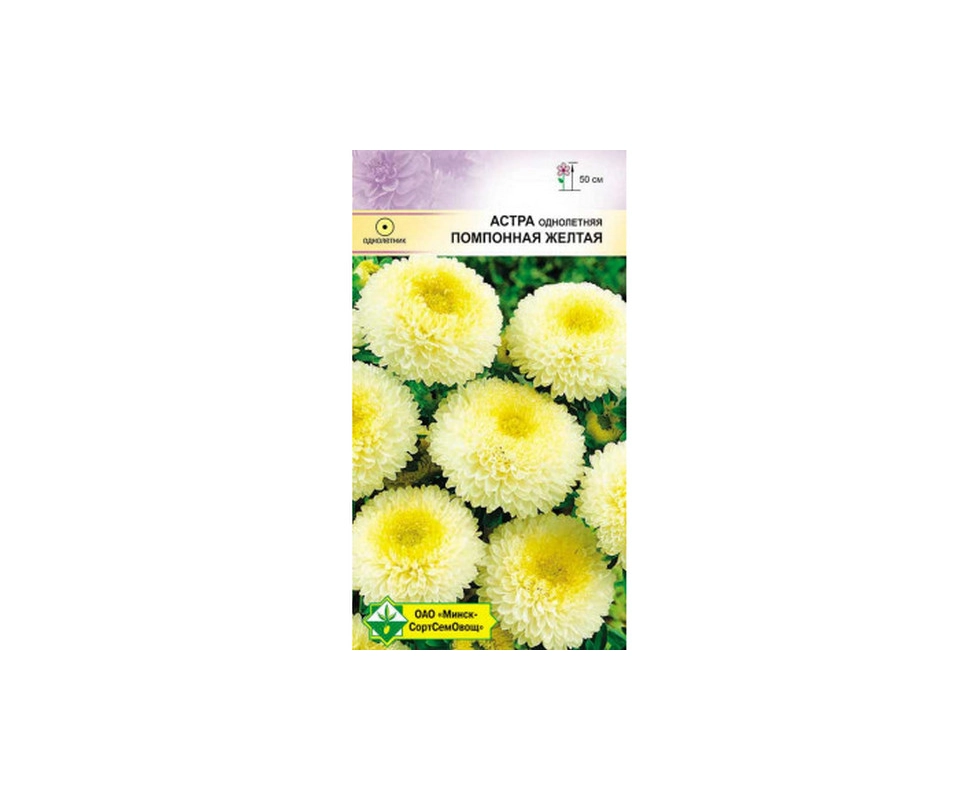 Купить Астра Помпонная Желтая 0.3г                                                                         