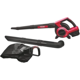 Купить Аккум. воздуходувка WORTEX BB 2536-1 D