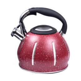 Купить Чайник 3 л металлический со свистком арт. GS-0542AFY                                                