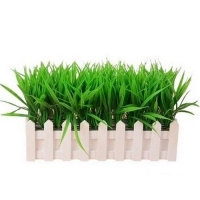 Семена травы газонной