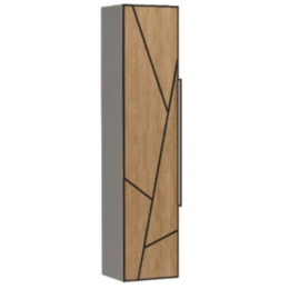 Купить Пенал подвесной с корзиной Mirage 36.R/РФ                                                           