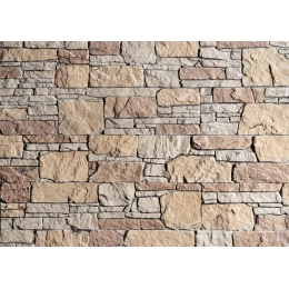 Купить Сланец Буковинский бежевый 1302