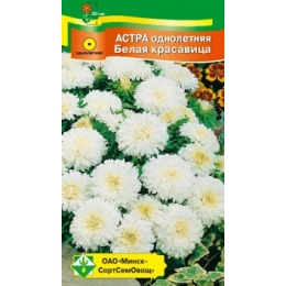 Купить Астра Карликовая Белая красавица 0,3г                                                               
