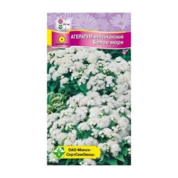 Купить Агератум мексиканский Белое море 0,15г                                                              