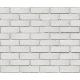 Купить Кирпич шамотный белый 0300