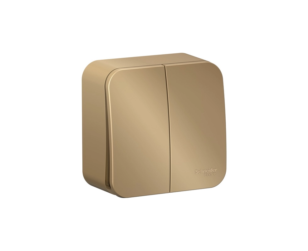 Купить Выключатель 2-клавишный  титан BLNVA105014/1                                                        