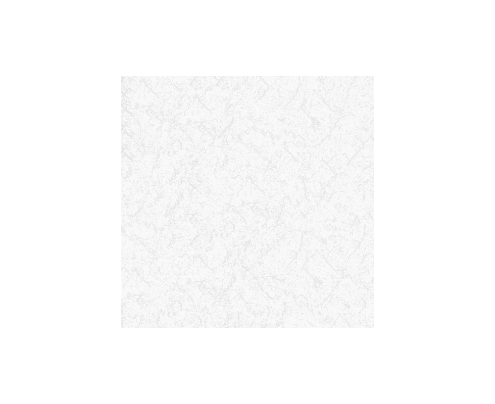 Купить Обои Статус фон 2054-21                                                                             