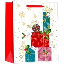 Купить Пакет подарочный 24х18х8см GB22-5801                                                                