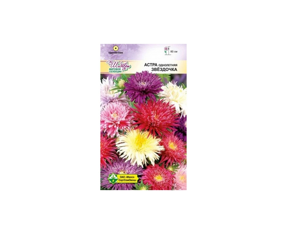 Купить Астра Карликовая Желтый бархат 0,3г                                                                 