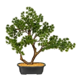 Купить Бонсай лиственница искусственный, 37см, зеленый, в горшке, Артикул: 3319175-50                      