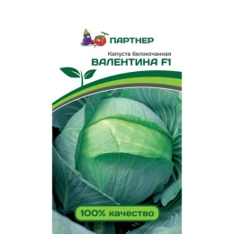 Купить Капуста белокочанная  ВАЛЕНТИНА F1 0,2г                                                             