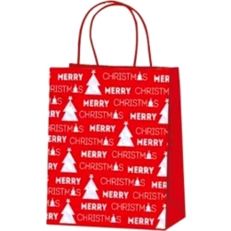 Купить Пакет подарочный 21х25,5х10см GB21-3662                                                             