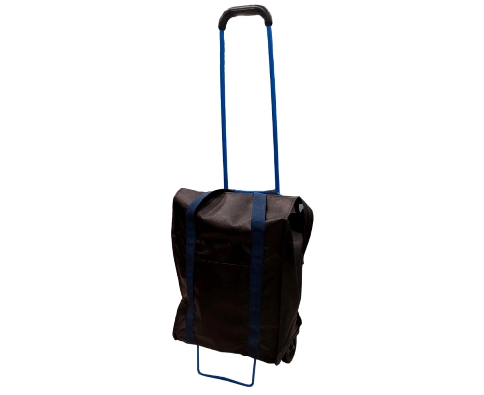 Купить Тележка багажная с сумкой ТСС-20.00.000.01                                                          