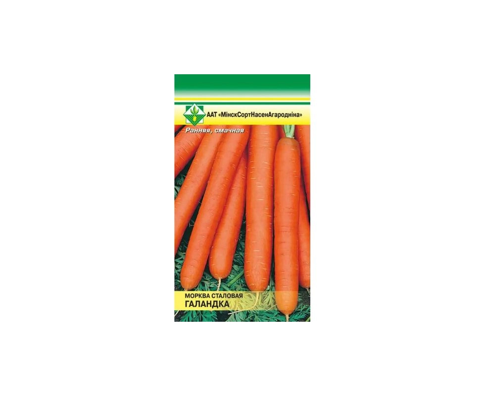 Купить Морковь Голландка столовая 1г                                                                       
