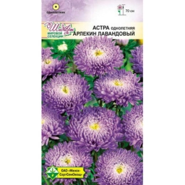 Купить Астра Арлекин Лавандовый 0.2г                                                                       