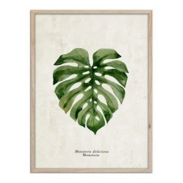 Купить Репродукция в рамке 50*70см Монстера ОВ-13808                                                       