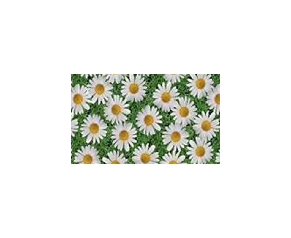 Купить Клеёнка столовая ПВХ на нетканной основе 6619А Амарант 1,37м                                        