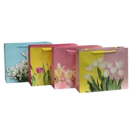 Купить Пакет для подарка бумажный 18х23х10см PK23505                                                       