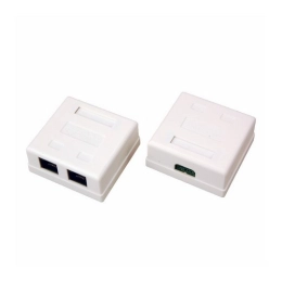 Купить Розетка сетевая LAN REXANT на стену 06-0105-С  2 гнездо 8Р8С (Rj-45)                                