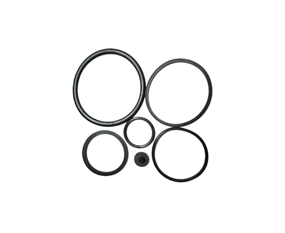 Купить Ремкомплект для опрыскивателей ST6022-20  ST6023-06                                                 