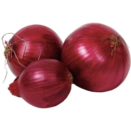 Купить Лук севок ред барон 10-21 мм 0,5кг                                                                  
