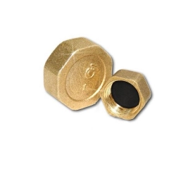 Купить Заглушка 3/4'' внутренняя резьба                                                                     