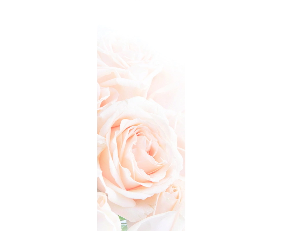 Купить Фотообои Crema размер 1,03 * 2,70 Сюжет В102 АРТ-ОБОИ                                               