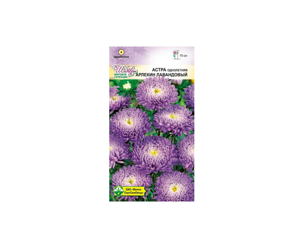Купить Астра Арлекин Лавандовый 0,2г                                                                       