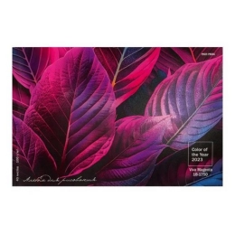 Купить Альбом для рисования А4 40 листов VIVA MAGENTA отрывной блок 40-6152                                