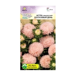 Купить Астра Прекрасный день Лососевый день 0,1г                                                           