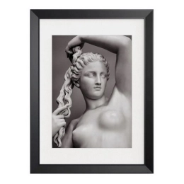 Купить Репродукция в рамке 50x70 см Скульптура ОВ-14284                                                    