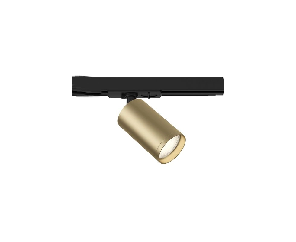 Купить Светильник трековый TR020-1-GU10-BGF                                                                