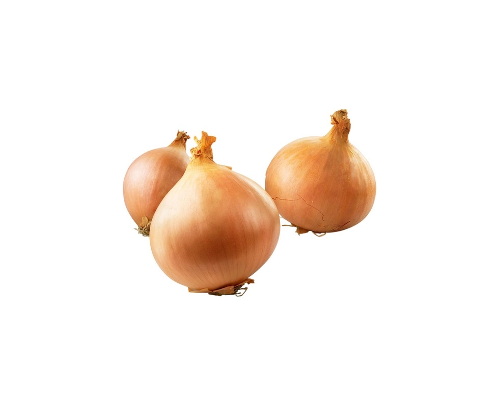 Купить Лук севок стурон 10-21мм 0,5кг                                                                      