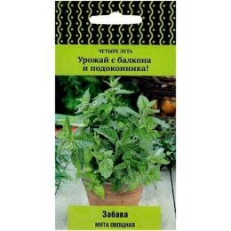 Купить Мята овощная Забава ЦВ 20шт                                                                         