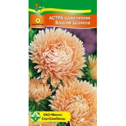 Купить Астра Пионовидная Башня Шамоа 0,3г                                                                  