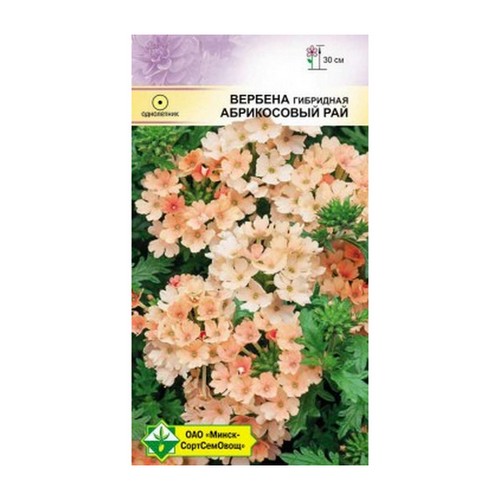 Купить Вербена гибридная Абрикосовый рай 0,1г                                                              