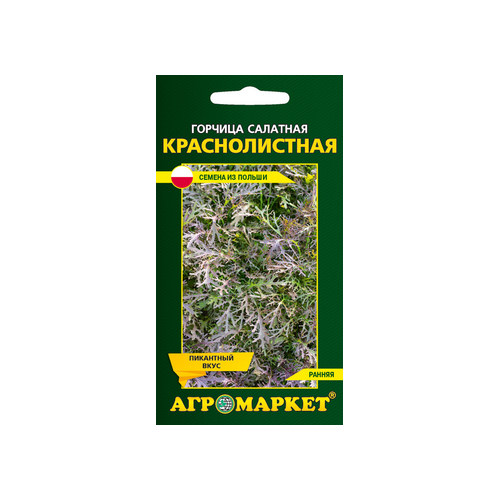 Купить Горчица салатная краснолистная 1г партия PL730/12/210/L254/A                                        