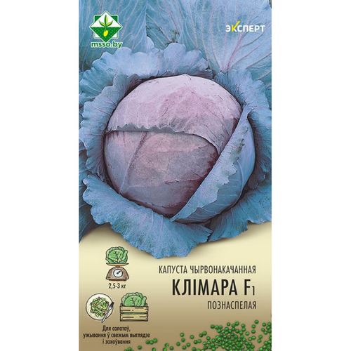 Купить Капуста краснокочанная Климаро F1 12шт                                                              