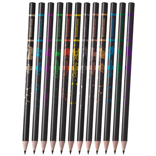 Купить Чернографитный карандаш ErichKrause Galactic круглый НВ 63328                                       