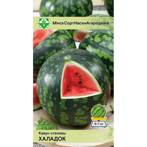 Купить Арбуз Холодок 1г                                                                                    