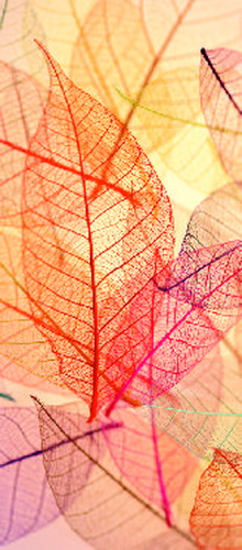 Купить Занавес DeccoArte 20 LEAVES, Польша